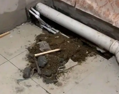 户县卫生间漏水检测哪家好