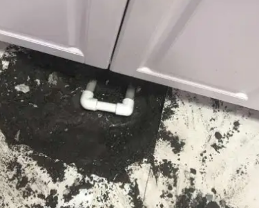 户县查漏水哪家好